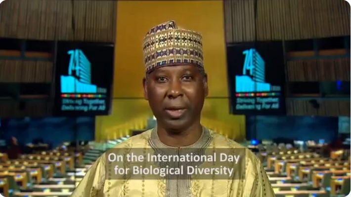 Tijjani Muhammad Bande, President of the UN General Assembly