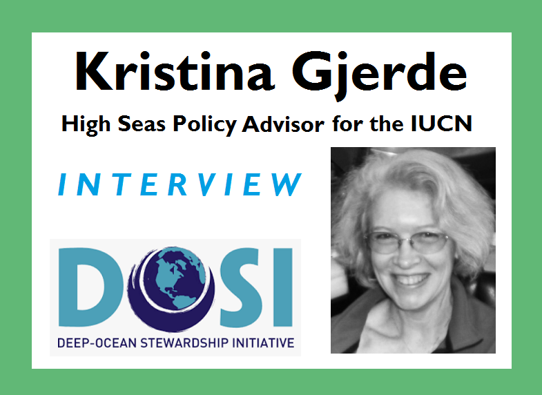 Interview with Kristina Gjerde (IUCN high seas policy advisor and DOSI executive)