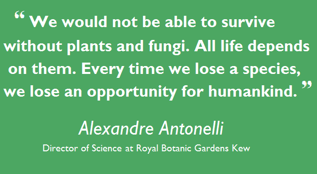 Kew report, Alexandre Antonelli quote
