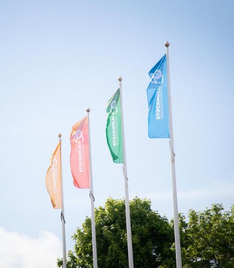 Branded flags at the Stockholm+50 event: four flag poles, with one yellow, red, green and blue flag, respectively