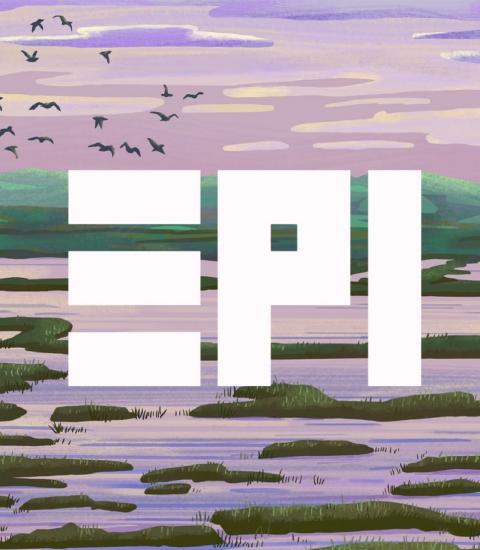 lilac and green wetlands visual with illustrated birds above and white abstract EPI logo