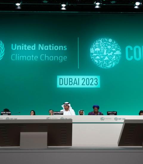 Averting the Climate Change Catastrophe: A Wake-up Call by  the UN Secretary-General at COP28 and Beyond