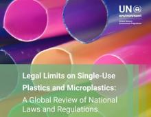 Legal Limits on Single-Use Plastics and Microplastics: A Global Review of National Laws and Regulations