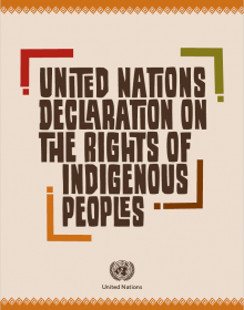 View the UN Declaration on the Rights of Indigenous People (credit: United Nations)